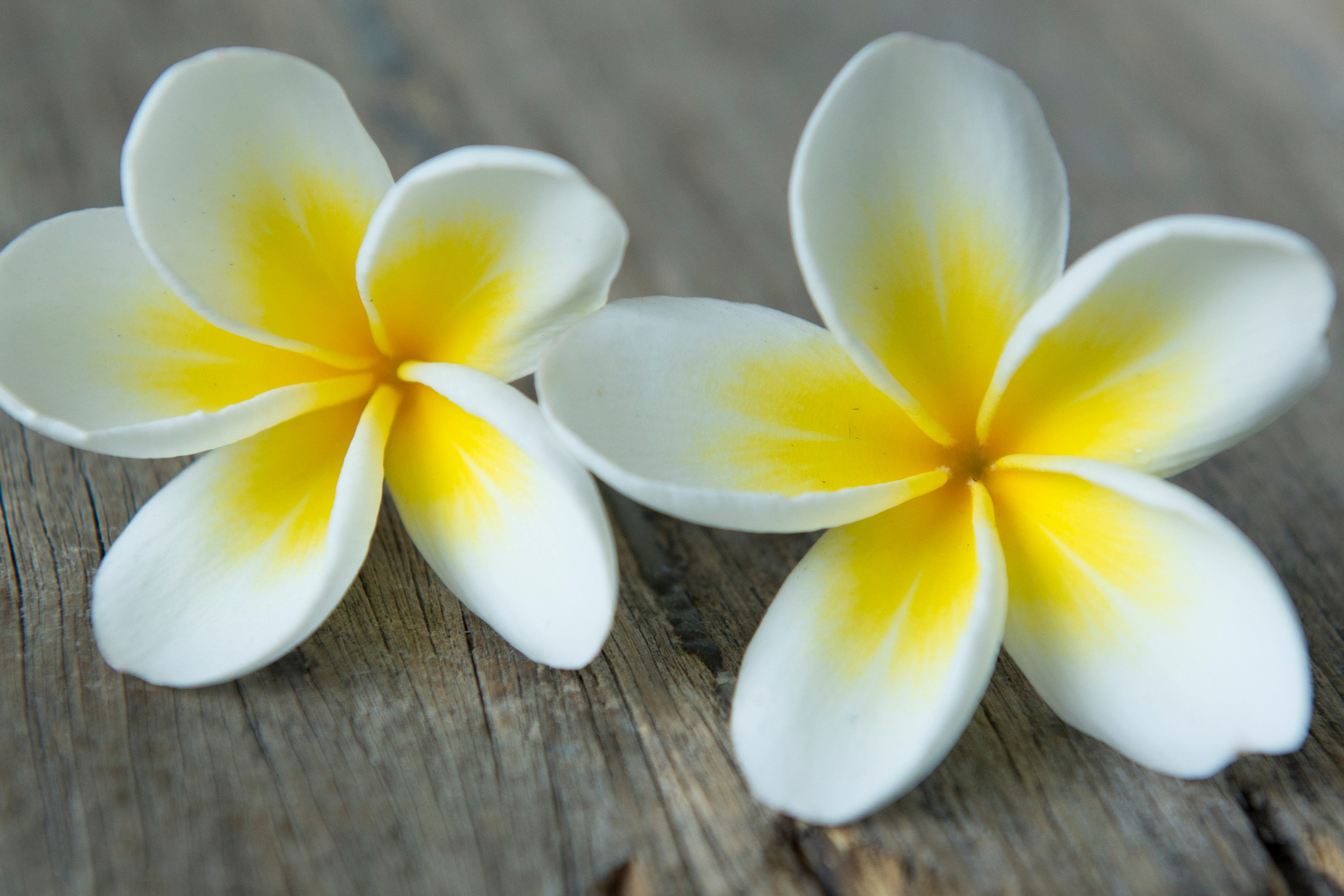 Contact with us - Aroma Houz Australia