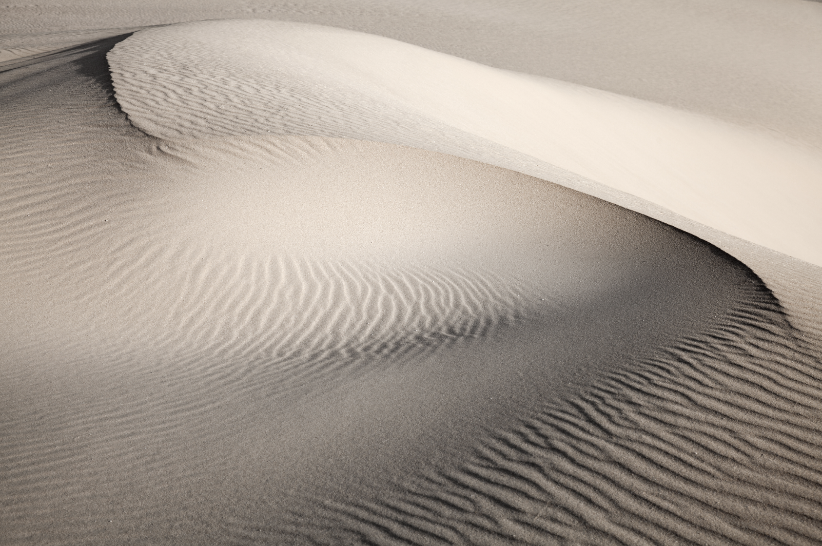 Serene desert landscape showcasing undulating sand dunes with intricate ripple patterns