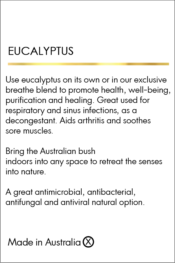Eucalyptus Konchi Essential Oil - Organic