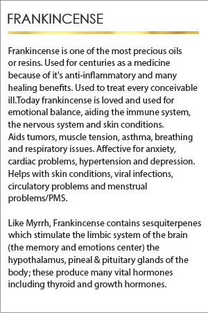 Frankincense Hojari Resin Incense Sticks