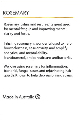 Rosemary Organic Essential Oil